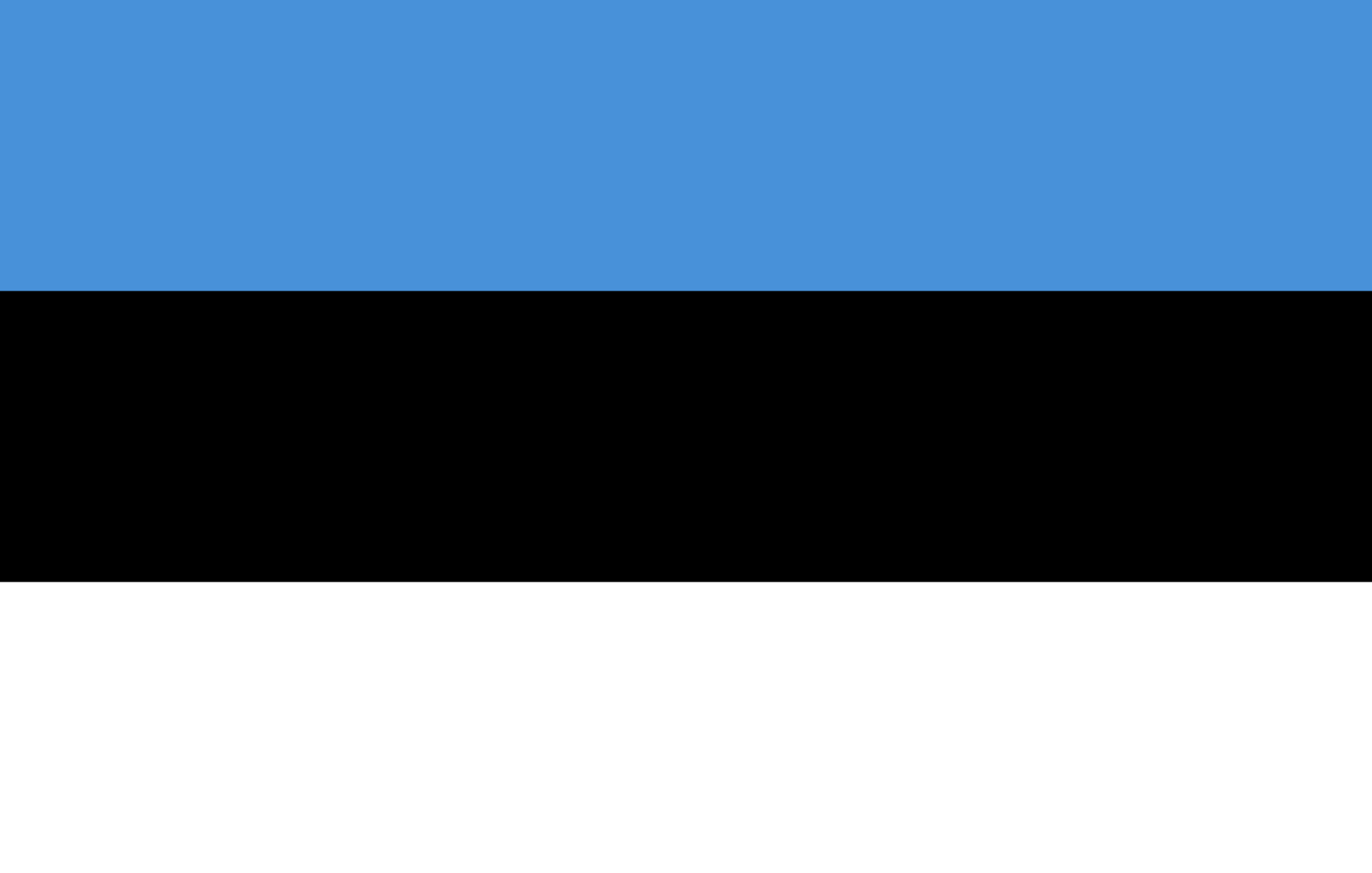 Podoba nacionalno zastavo države Estonija v resoluciji 1630x1037