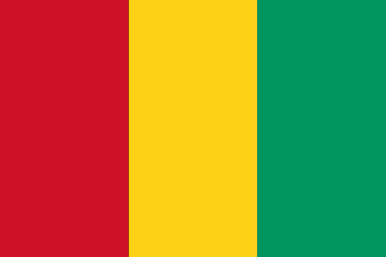 Podoba nacionalno zastavo države Gvineja v resoluciji 1630x1087