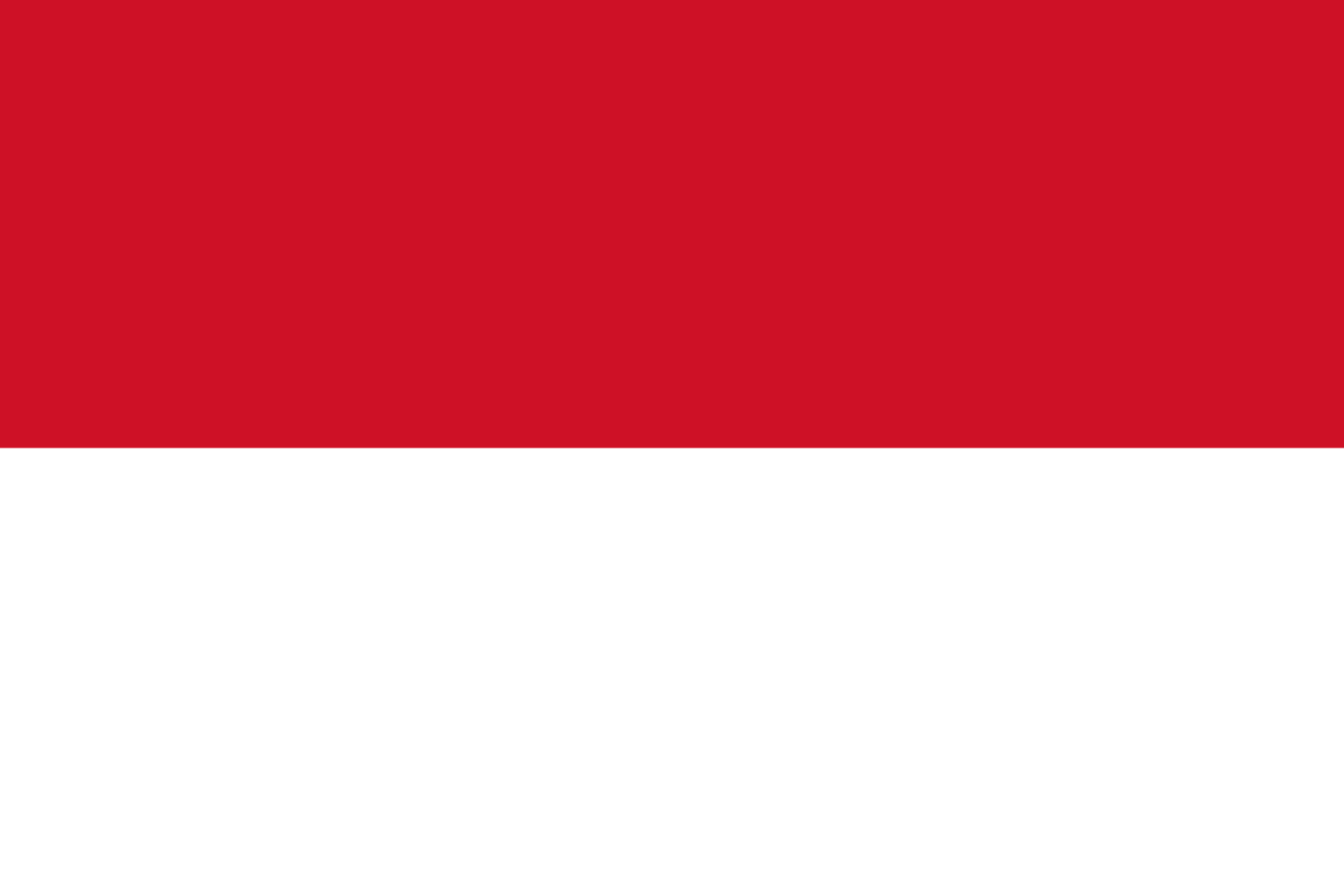 Podoba nacionalno zastavo države Indonezija v resoluciji 1630x1087
