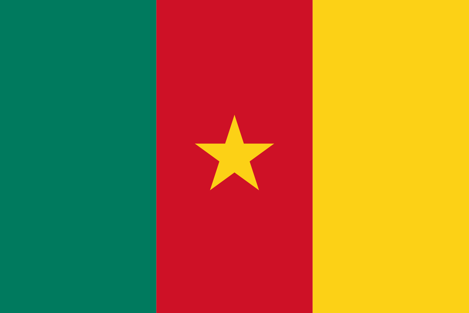 Podoba nacionalno zastavo države Kamerun v resoluciji 1630x1087