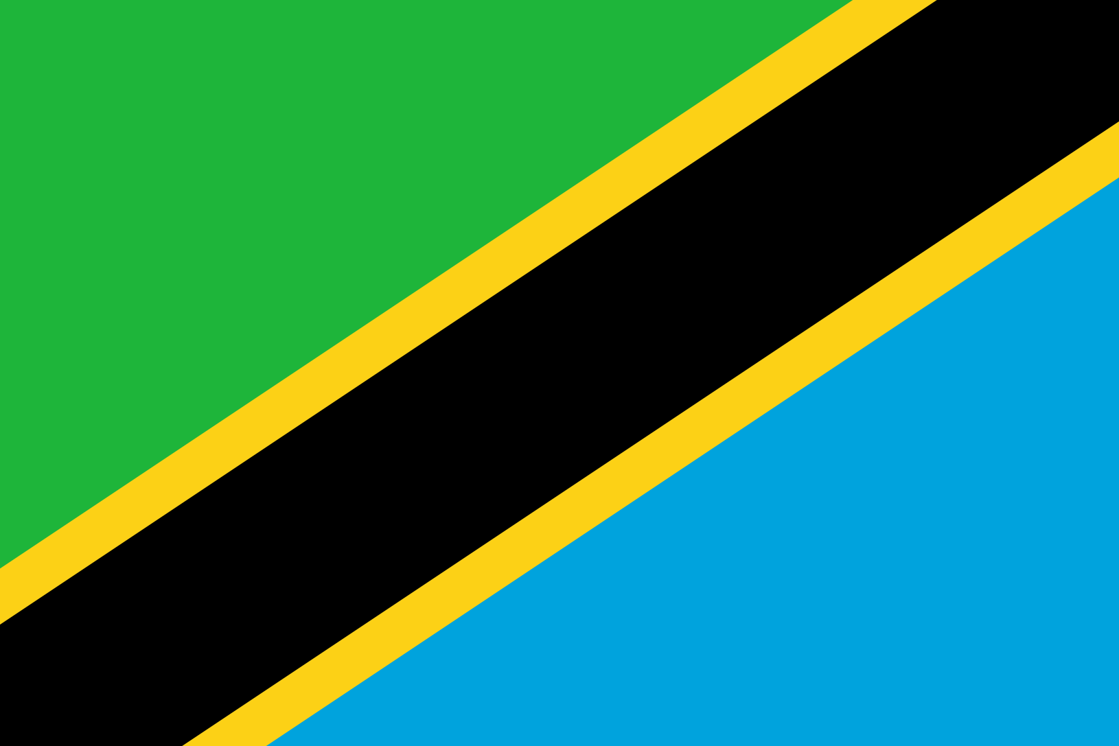 Podoba nacionalno zastavo države Tanzanija v resoluciji 1630x1087