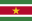 Zastava Surinam | Vlajky.org